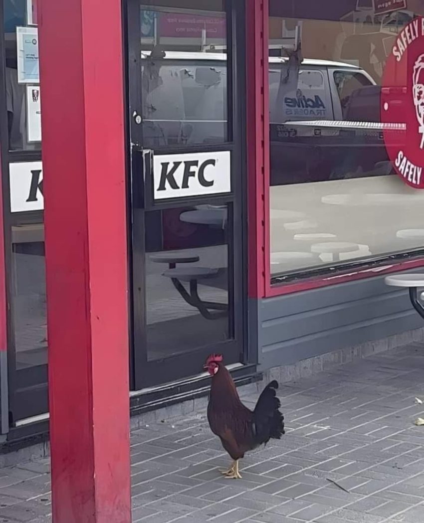 Här ser vi en bra och bred ingång till tex KFC som är en restaurang som säljer allt med kyckling. En ingång bör vara bred för att en person med rullstol lätt ska ta sig in.